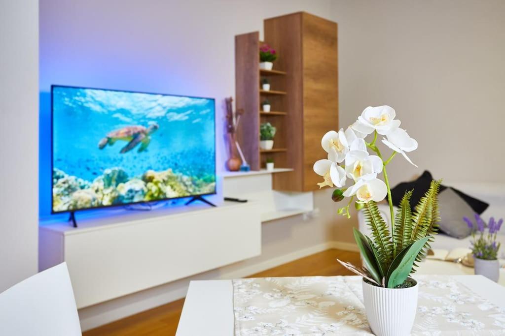 Center Aviano Comfort Suite Free Parking Wifi Екстер'єр фото